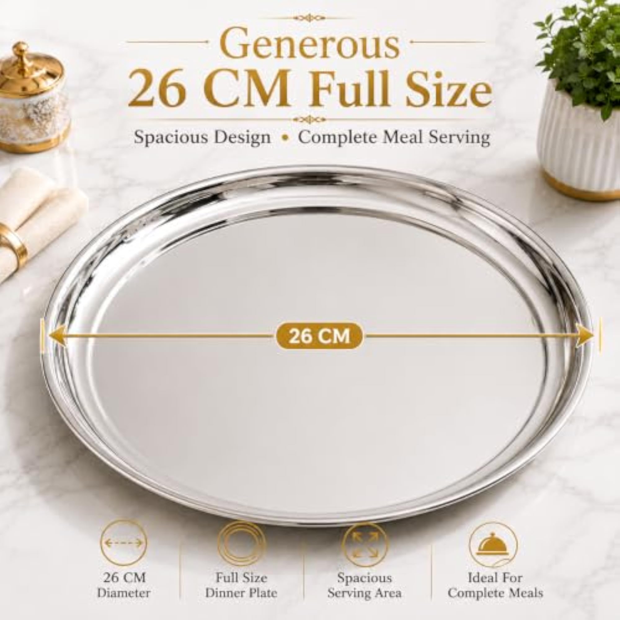 Kanshita's Stainless Steel Dinner Plate, 26 cm Heavy Gauge